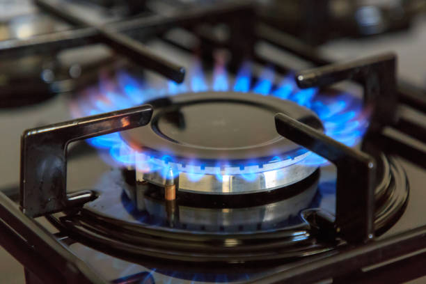     Для домов без газа в Узбекистане планируют ввести льготные тарифы на электричество