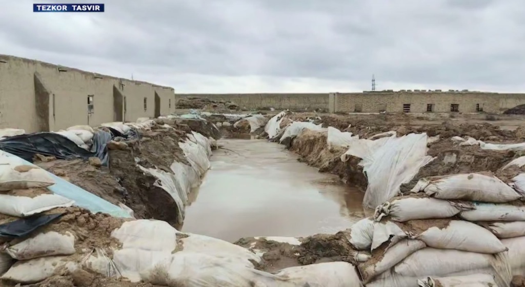 Нелегальная добыча золота в Навоийской области нанесла ущерб на 13 млрд сумов