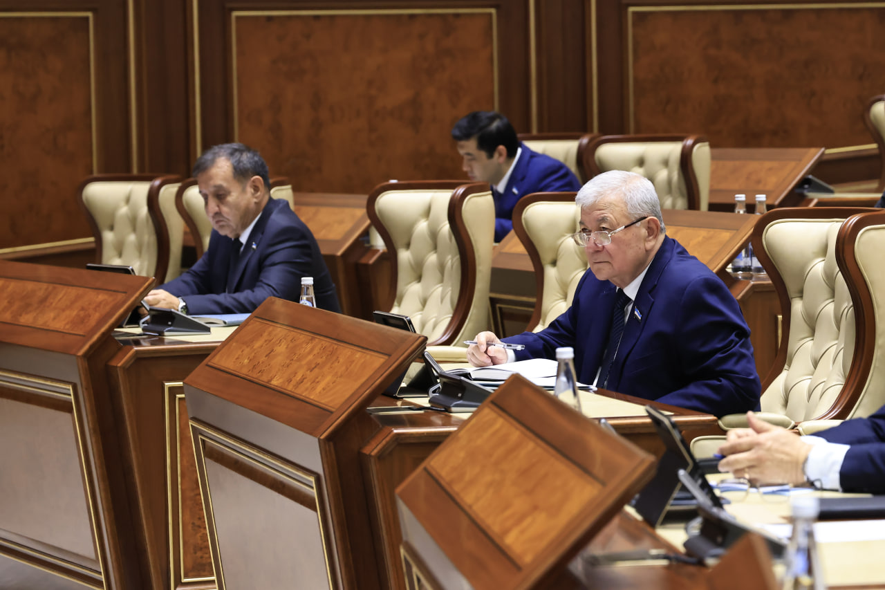 Сенат одобрил новые меры ответственности за хулиганство 